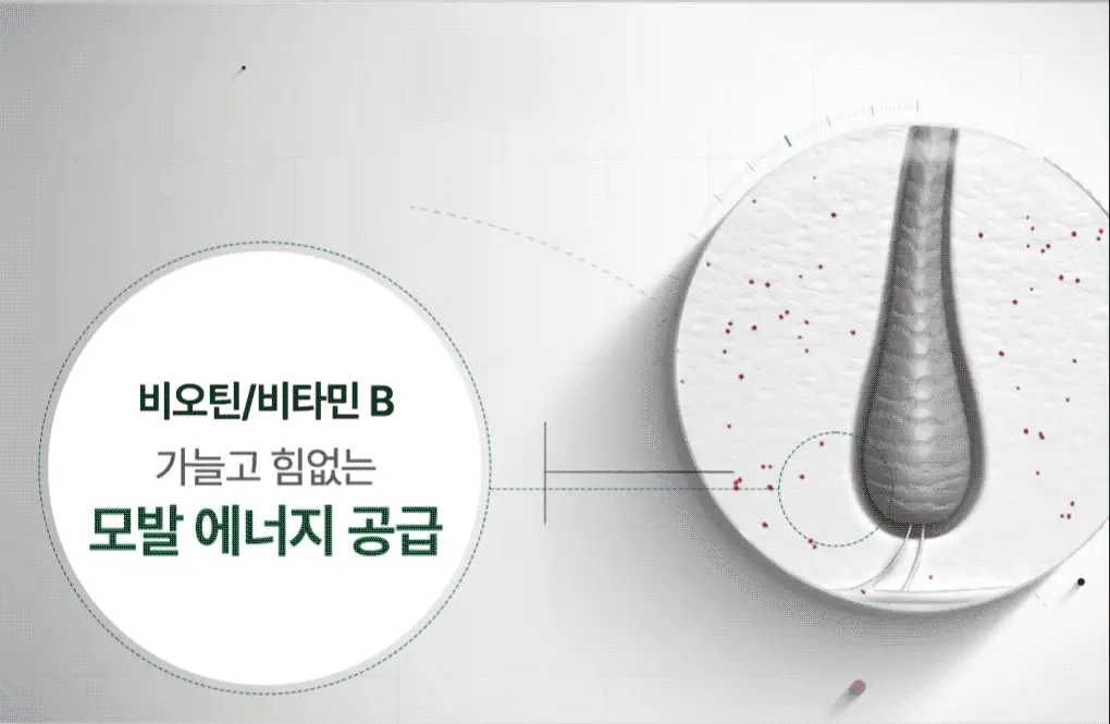 [두피활력&모발강화] 클로란 퀴닌 에델바이스 샴푸 400ml 상세페이지 15